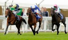 Fame and glory: the rise of Nathaniel