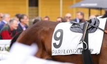 2018 Timeform Global Rankings