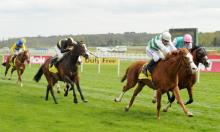 Lockinge Stakes: Road works for Limato