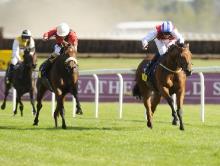 Ratings Update: Brando earns another shot at the top