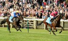 Sectional Timing Debrief: Future Champions Festival 2017