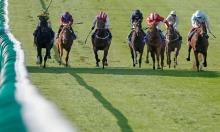 Timefigure preview: Spotlight on the stars running at Newmarket on Friday