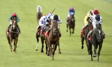 Rowleyfile Preview: Palace House Stakes