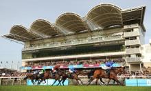 Craven Stakes Preview: Royal Marine to be fighting fit back on turf