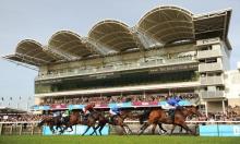 Sectional Debrief: 2016 Guineas Meeting