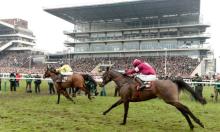 Novice hurdlers: A mid-season review