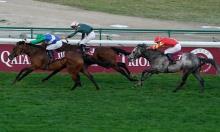 Champions Sprint Preview: High hopes for One Master on heavy ground