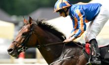 Royal Ascot Preview: Five head-to-heads for the week