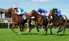 Hot To Trot: Hannon flying ahead of Flat season