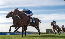 French Guineas Preview: You can be King again