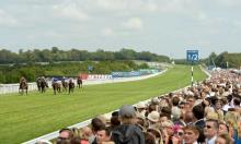 Champion Stakes 2016: Bassett's allsorts include a champion