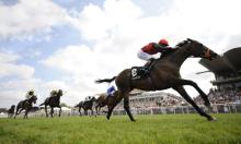 Hot to Trot: Prescott about to hit full stride