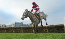 Stayers' Hurdle Preview: Petit poised to strike
