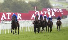Timefigure preview: Dewhurst and Autumn Stakes