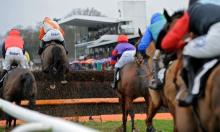 Hot To Trot: Great Scott!