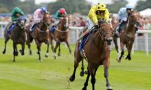 Jamie Lynch: York Ebor Festival Preview