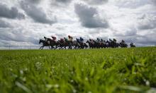 Ratings Update: Saldier enters Champion Hurdle picture with Morgiana success