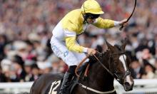 Hot To Trot: Project one for the notebook