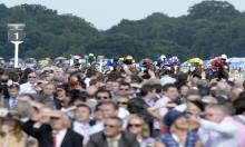 Ratings Update: St George restores Order for O'Brien in Gold Cup