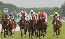 Queen's Cup preview: Make Time To Study the form