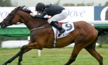 Ratings Update: Magical weekend for O'Brien