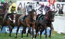 Rowleyfile Preview: Grand Annual