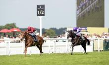 Ratings Update: Royal Ascot clues