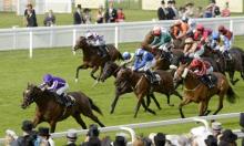 Hot to Trot: Royal Ascot special