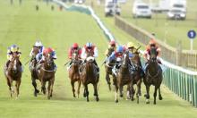 Hot To Trot: Flat special