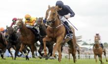 Derrinstown Stud Derby Trial Day: What will Emerge for the Classics?