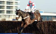 Champion Chase Preview: Saint Calvados the each-way play
