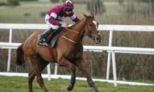 The pecking order: how this season's novices stack up