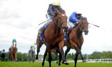 Timefigure preview: Coral-Eclipse