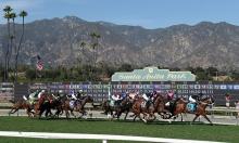 Breeders' Cup 2019: expert insight and betting advice for Santa Anita