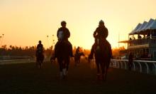 Saratoga Saturday Preview: Preservationist the value