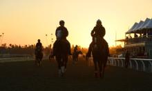 North American Weekend Preview: Macho, macho man