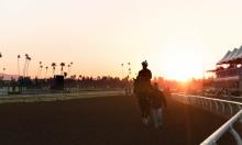 Blast From The Past: Breeders' Cup