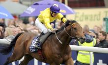 Cape Cross: The Timeform View