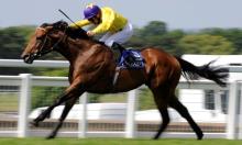 Ratings Update: Sea of Class impresses at the Curragh