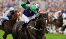 Hot to Trot: Carr team really motoring now 