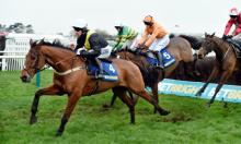 National Hunt Racing: Suffering from New Year blues?