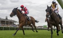 Gold Cup Preview:  Sheikh, rattle and roll
