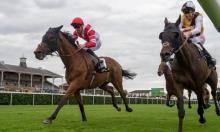 Hot To Trot: Court should take some catching