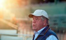 Hot To Trot: Stoute team ready for York