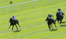 Phoenix Stakes Preview: Siskin can halt O'Brien's domination