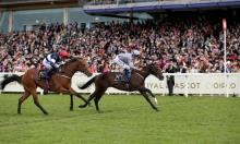 Hot To Trot: Royal Ascot Special
