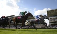 Sectional Preview: Prix de l'Arc de Triomphe 2016