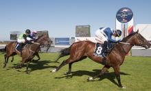 South African Racing Tips: Saturday 11 January