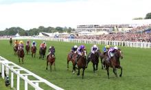 Hot To Trot: Dalgleish string can kick on from York success