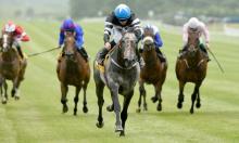 Hot To Trot: Simon says Mokarris could have more to offer